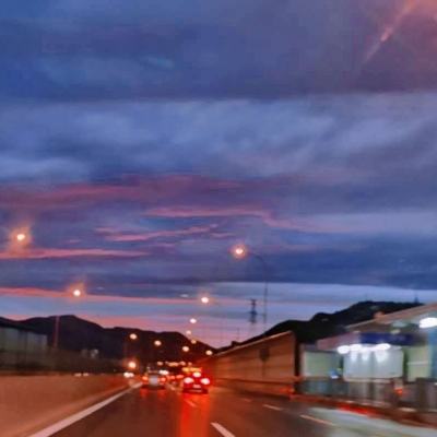 草花版闪闪跑胡子全集下载